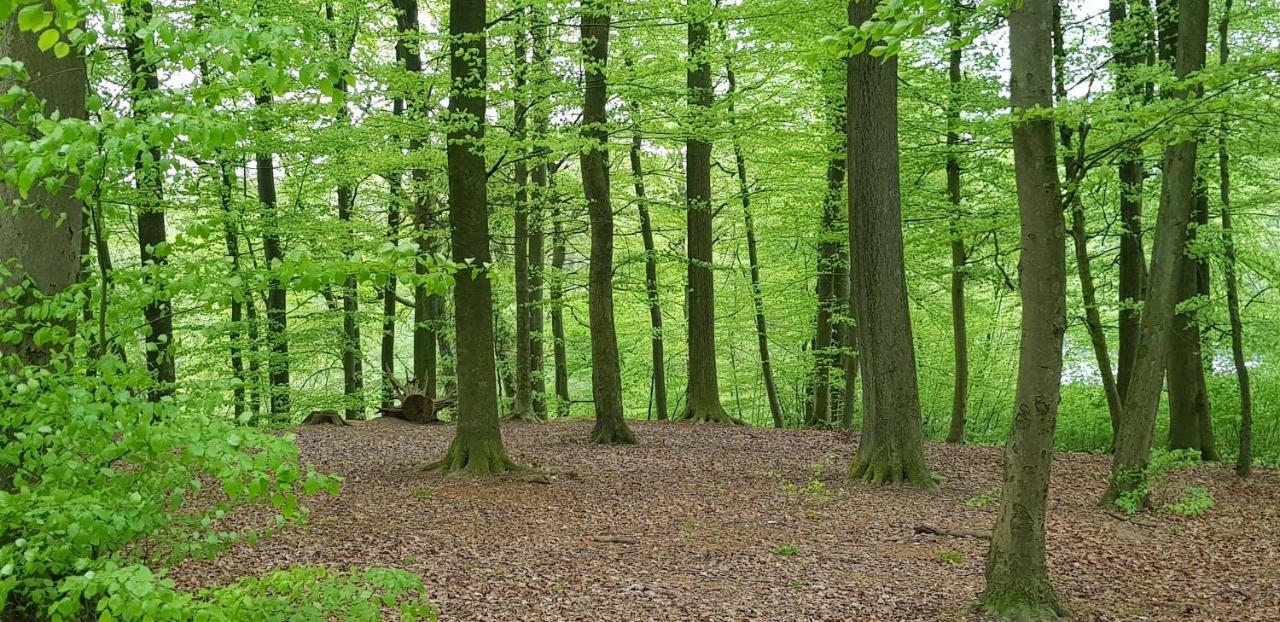 Ferienhaus Heide Bad Fallingbostel Buitenkant foto